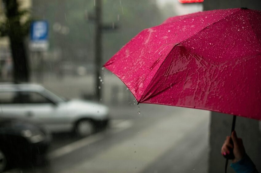 梅雨のブルーにさようなら。CBDで気分をリフレッシュ!